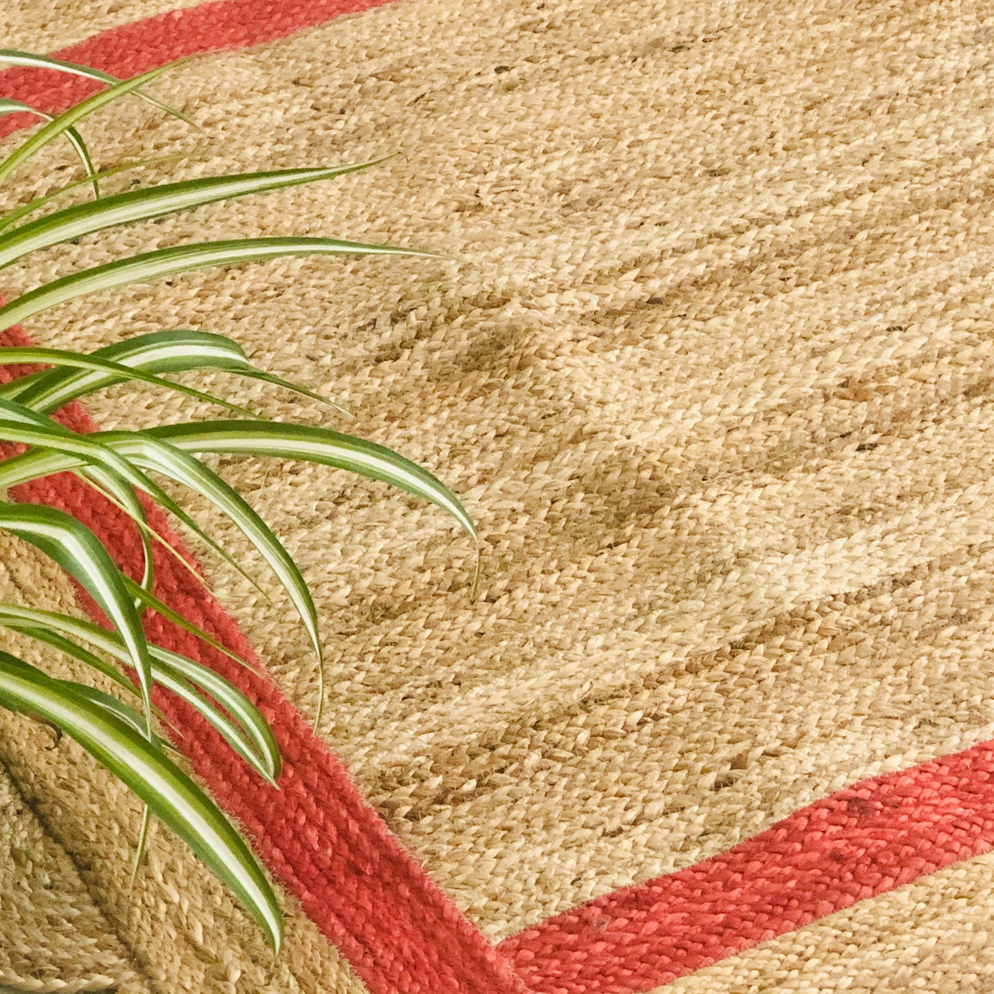 Jute Scallop Rug 4x6