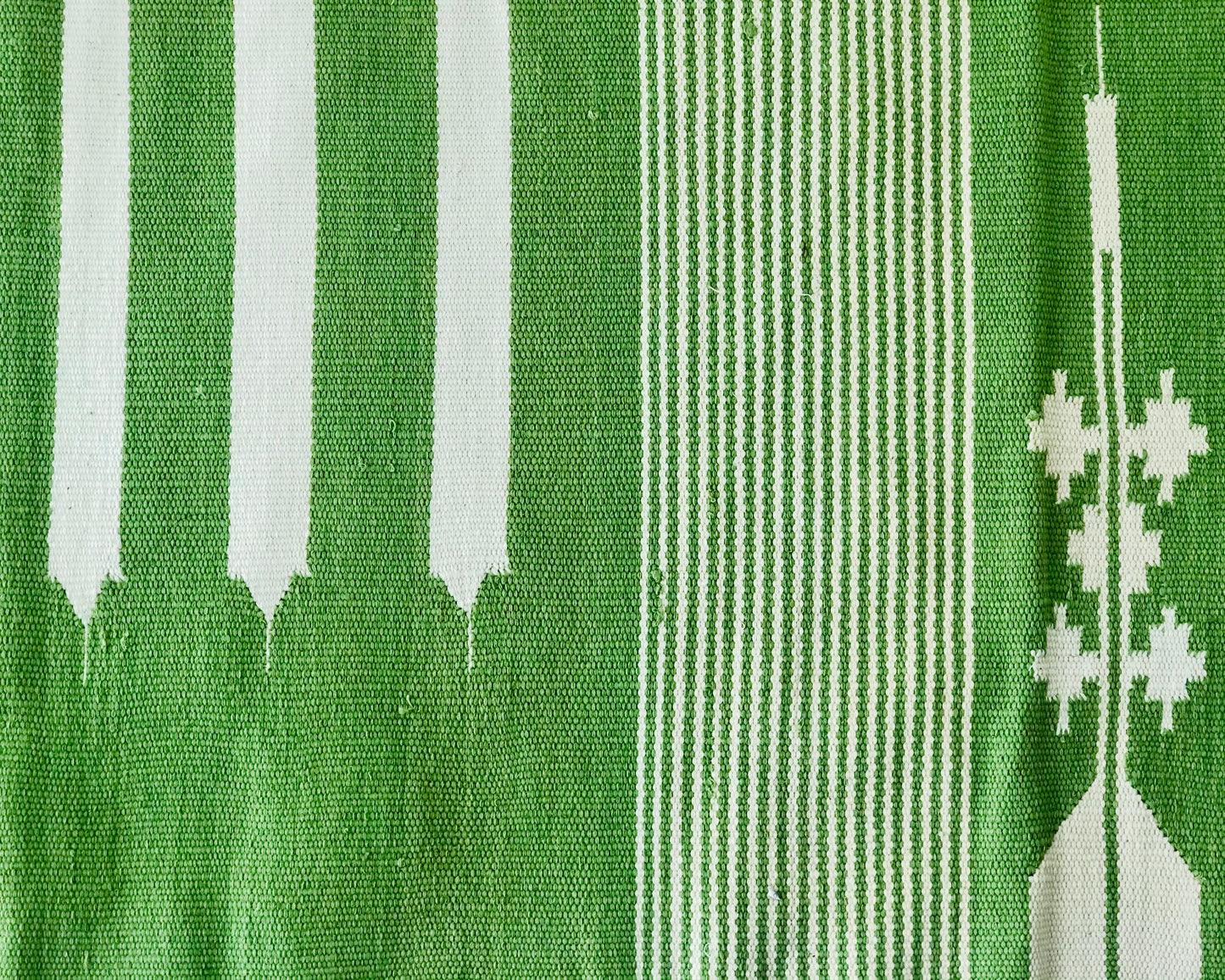 Green Boho 4x6 Area rug